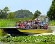 Everglades Package including 1hr Airboat Tour  - Orlando