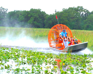 Airboat Swamp Tour, Orlando - 1 Hour