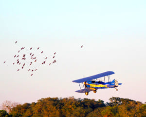 Smoky Mountain Biplane Ride Sevierville - 8 Minutes