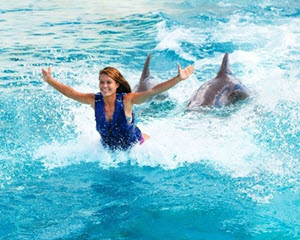 Dolphin Royal Swim Hawaii, Admission to Sea Life Park, 30 min Swim