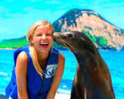 Sea Lion Swim Hawaii with Admission to Sea Life Park - 30 Minute Swim