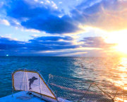Sunset Dinner Cruise Key West - 2 Hours