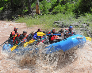 Whitewater Rafting Jackson Hole, 8 Mile Class III Adventure - 3 Hours
