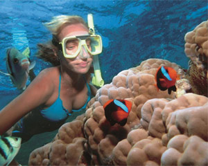 Motor Coach Shuttle, Snorkel, and Catamaran Adventure, Miami to Key West  (Round Trip!) - Full Day