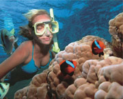 Motor Coach Shuttle, Snorkel, and Catamaran Adventure, Miami to Key West  (Round Trip!) - Full Day