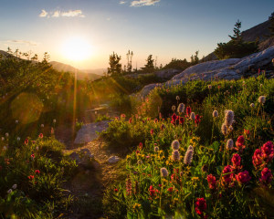 Guided Hike Rocky Mountain National Park - Full Day