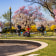 Bike Tour Washington DC, Monuments & Memorials - 3 Hours