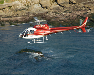 R-44 Helicopter Flight Lesson, San Diego - 30 mins