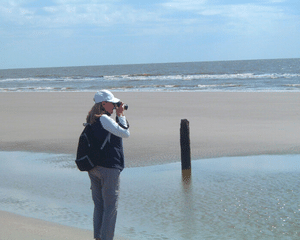 Historic Sapelo Island Tour - Full Day