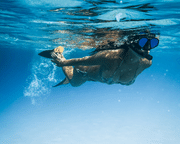 Cancun Snorkeling Tour from Playa Mujeres, Mexico - 4 Hours