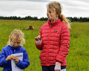Half-Day Bear Viewing Tour from Kenai, Alaska - 6 Hours