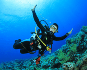 Cancun Reef and Wreck Dive Experience, Mexico - 6 Hours