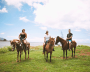 Oceanfront Horseback Riding Tour North Shore Oahu - 45 Minutes