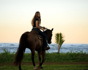 Horseback Riding and ATV Combo North Shore Oahu - 90 mins