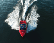 Wild Jet Boat Ride on the Columbia River, Wenatchee - 30 Minutes