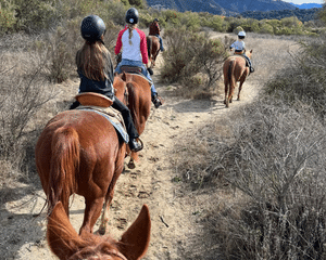 Private Santa Ynez Valley Horseback Riding - 90 Minutes