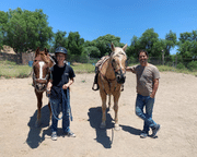 Private Santa Ynez Valley Horseback Riding - 90 Minutes