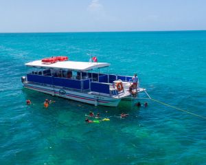 Kayak, Snorkel, and Paddleboat, Key West - 4.5 Hours