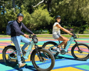 Best of San Francisco eBike Tour - 4 Hours