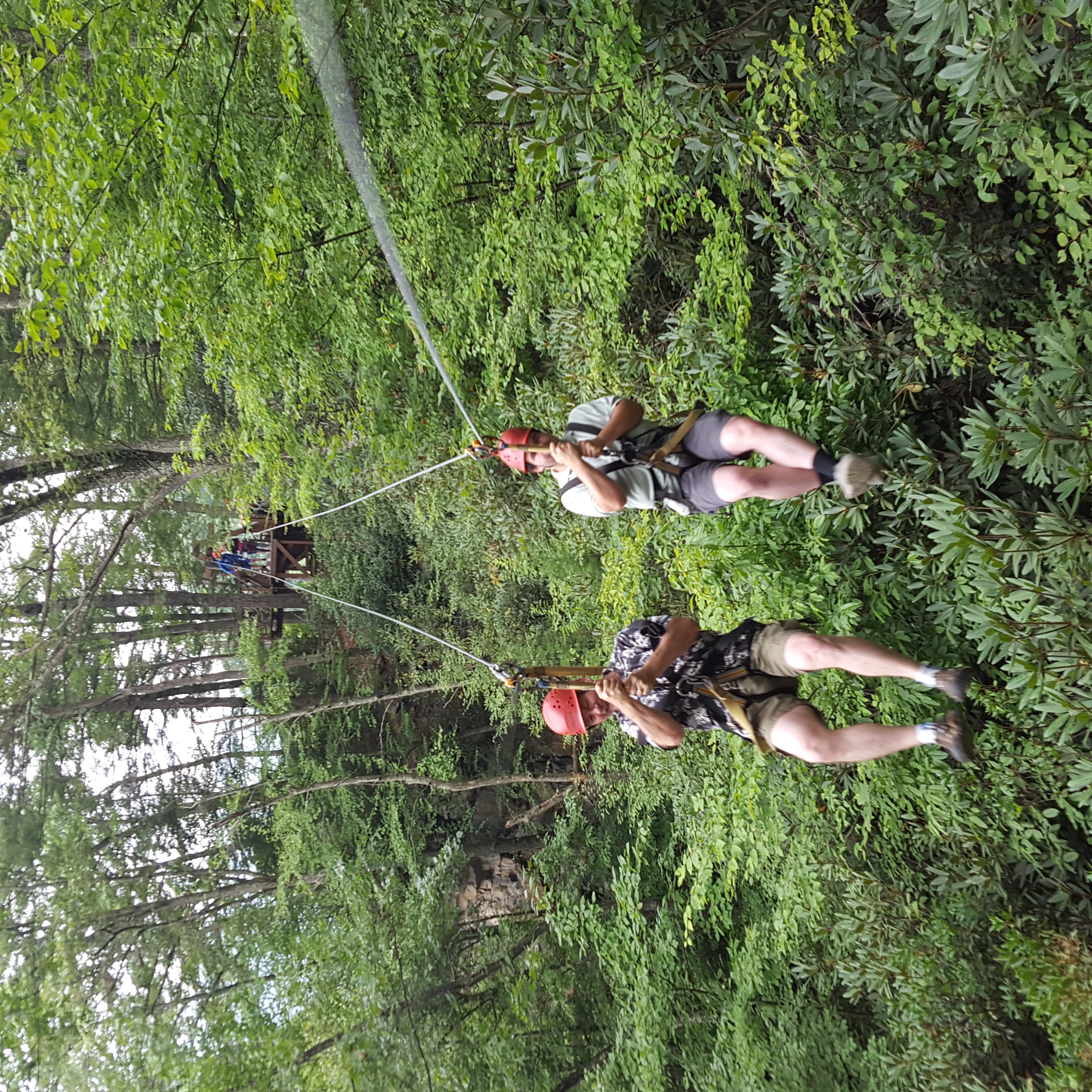 Image of Zipline West Virginia, New River Gorge  review
