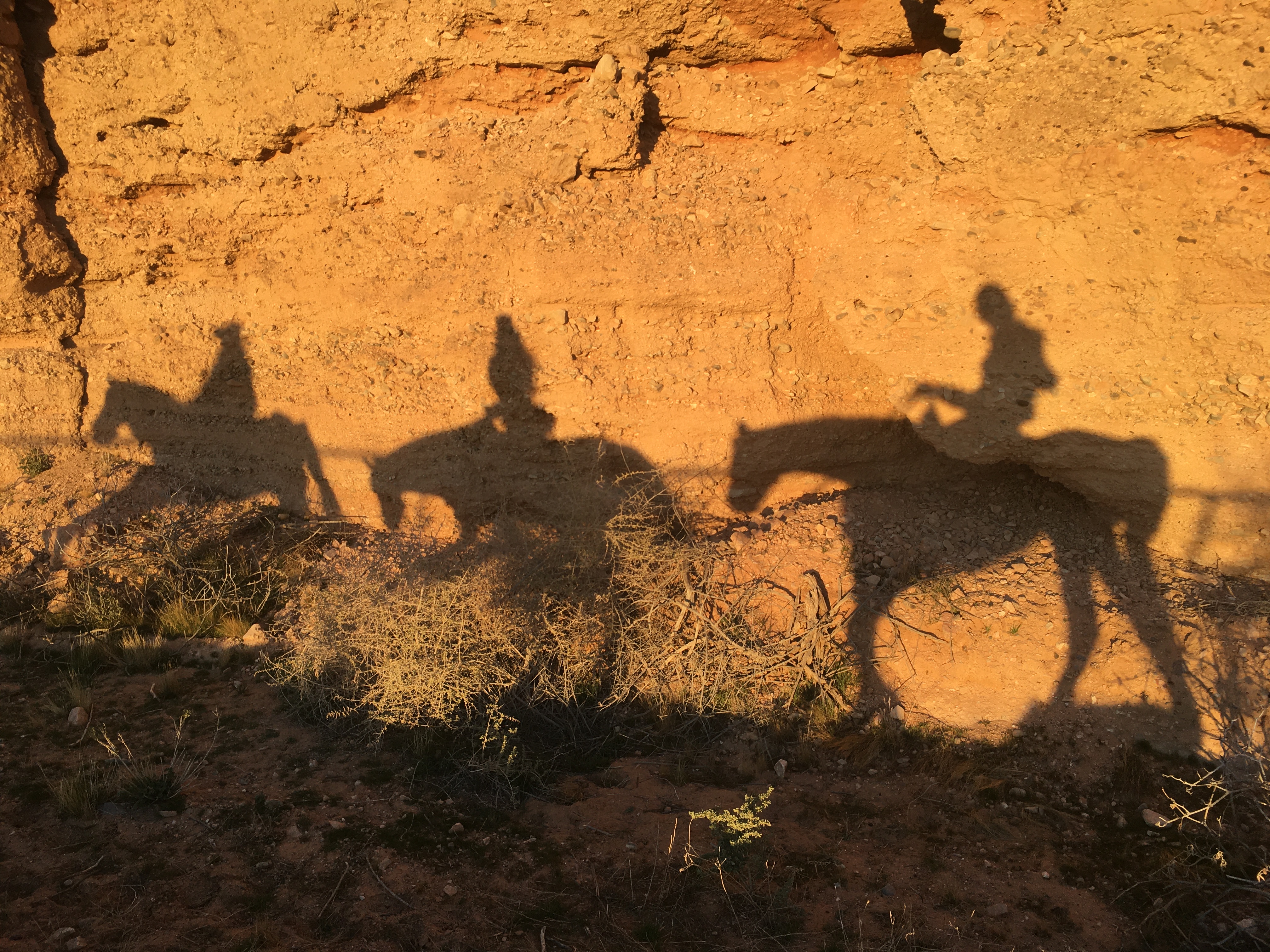 Image of Sunset Horseback Riding, Las Vegas - 5 Hours  review