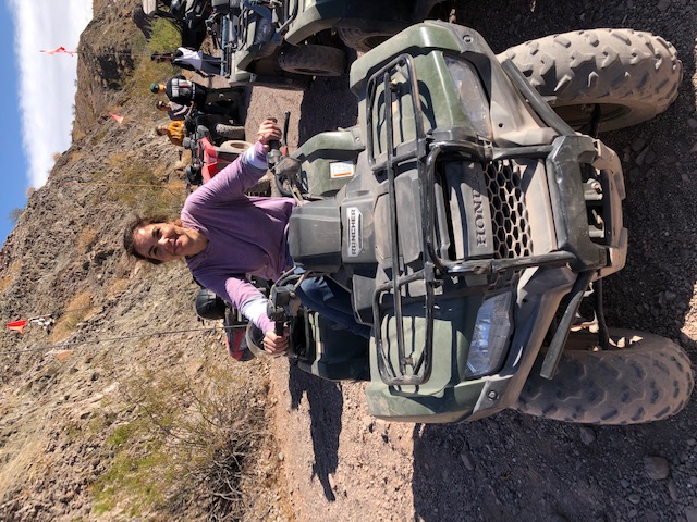 Image of ATV Tour Lake Mead National Park, Las Vegas,  3 Hrs, Shuttle Included  review