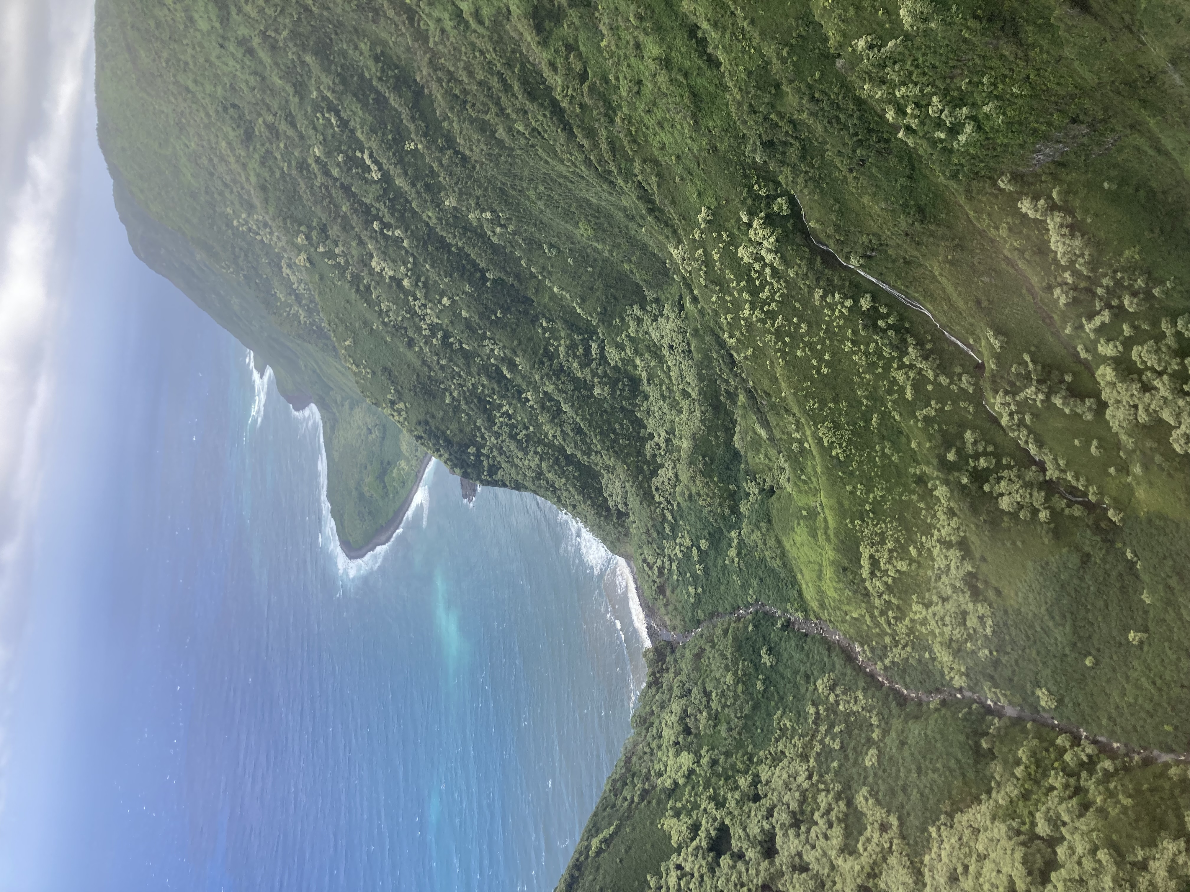 Image of Helicopter Tour Maui, Complete Island - 1 Hour  review