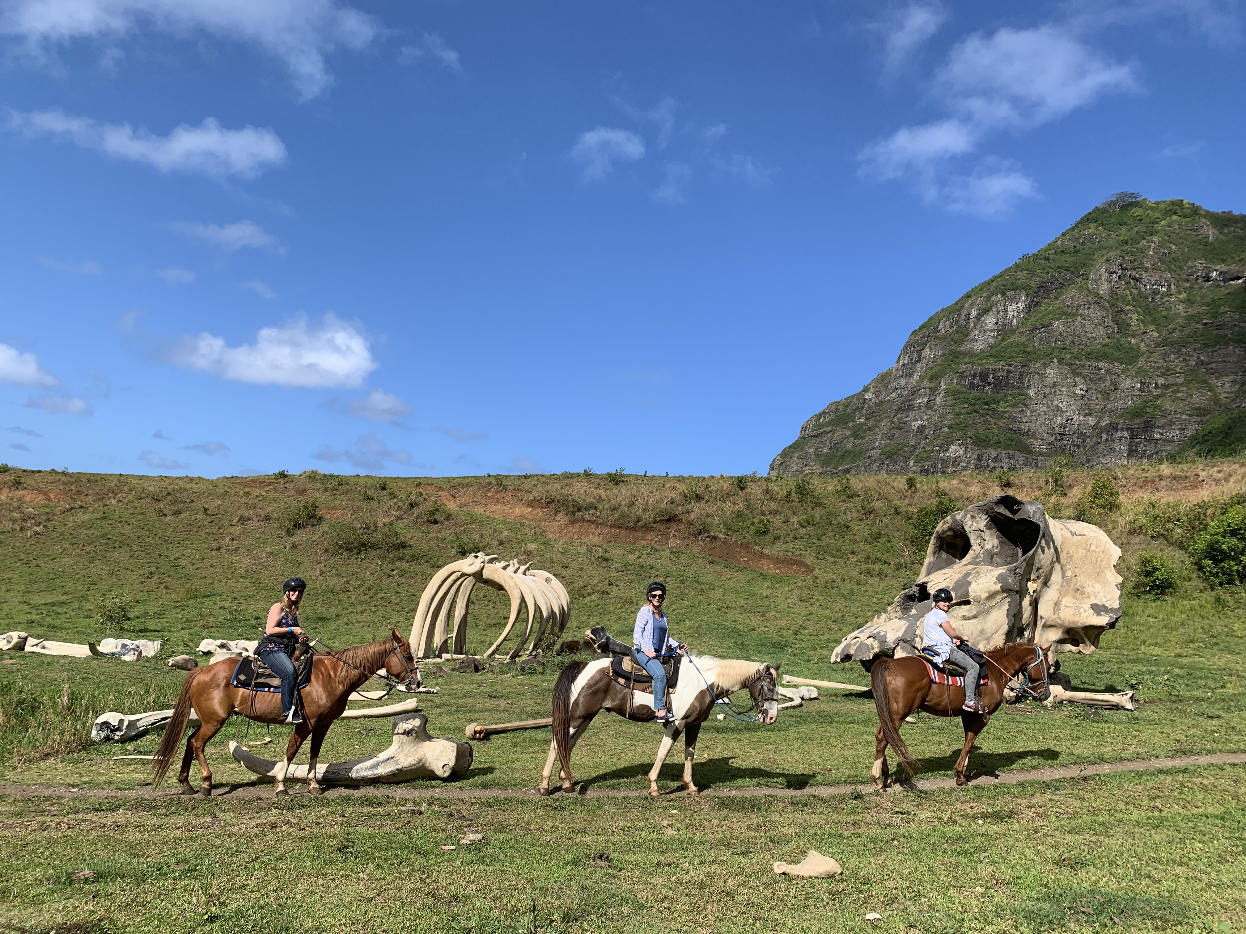 Image of Horseback Riding Oahu, Kualoa Ranch - 2 Hours  review