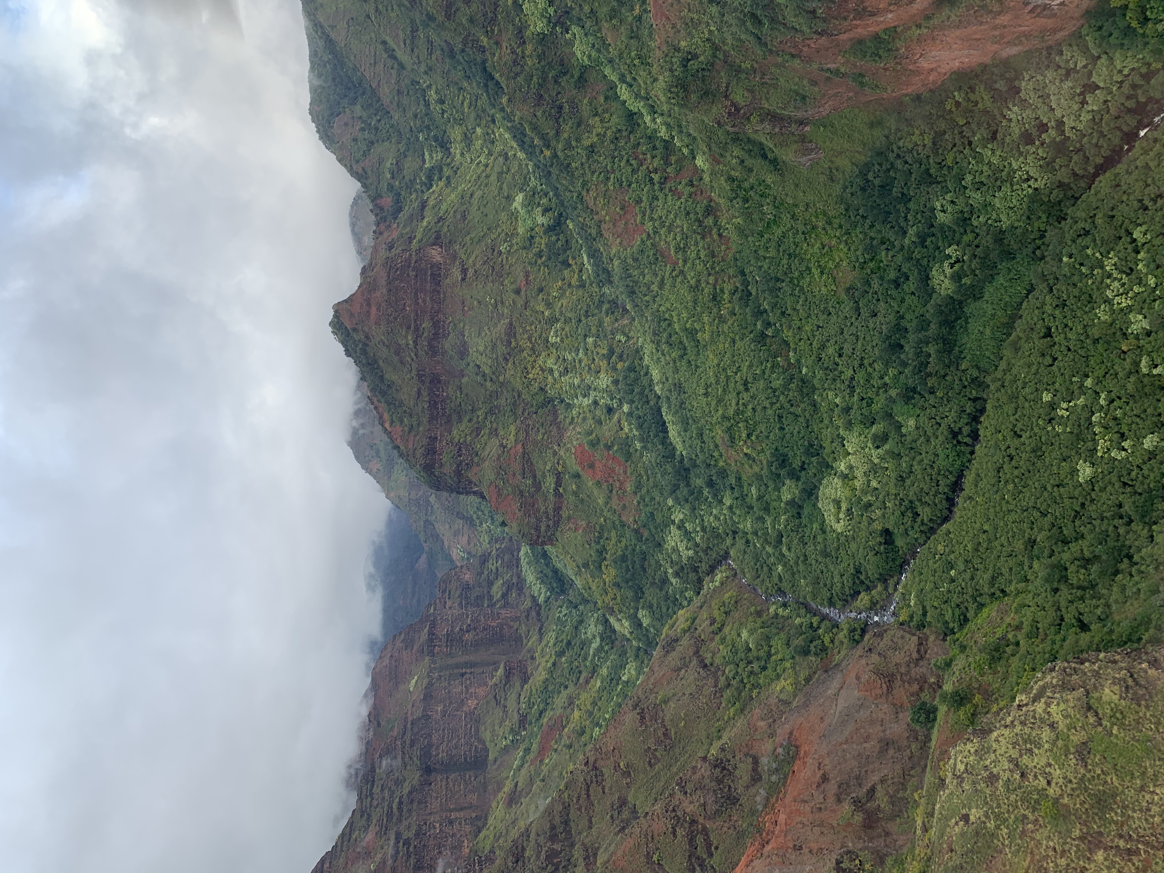 Image of Helicopter Tour Kauai | Ultimate Adventure | From Lihue  review