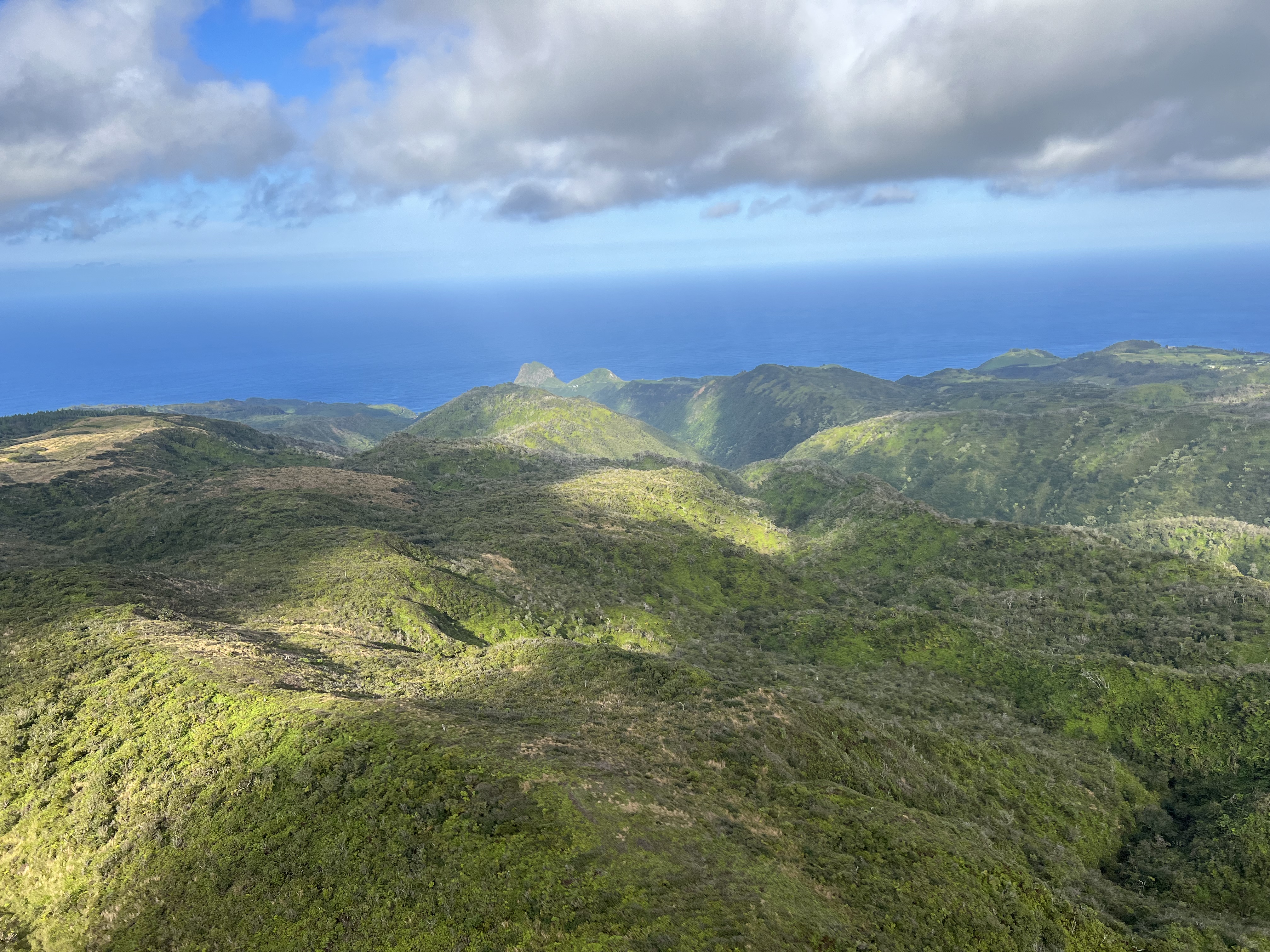 Image of Helicopter Tour Maui, Doors Off West Maui and Molokai - 45 Minutes  review