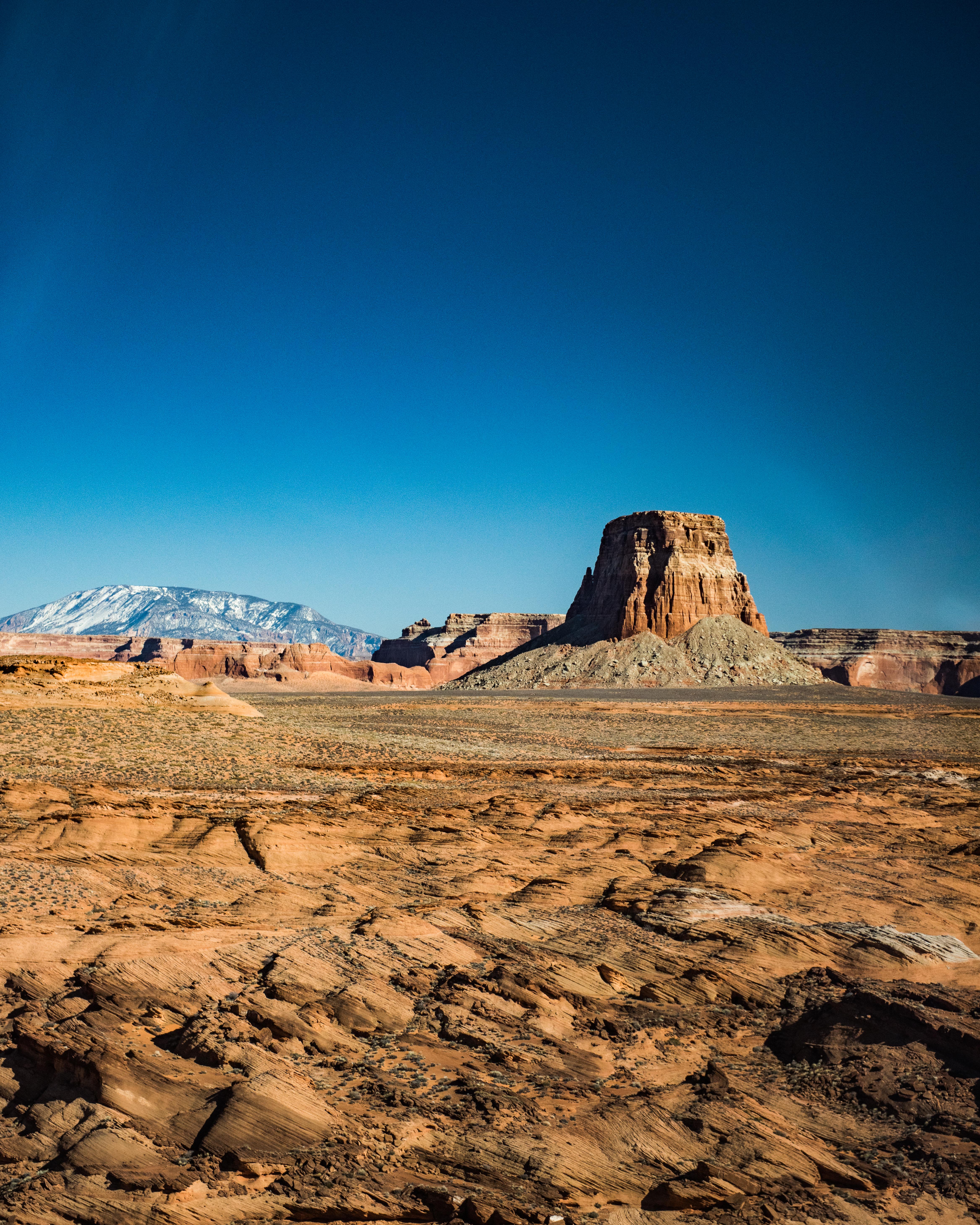Image of Helicopter Tour Horseshoe Bend With Tower Butte Landing - 55 Minutes  review