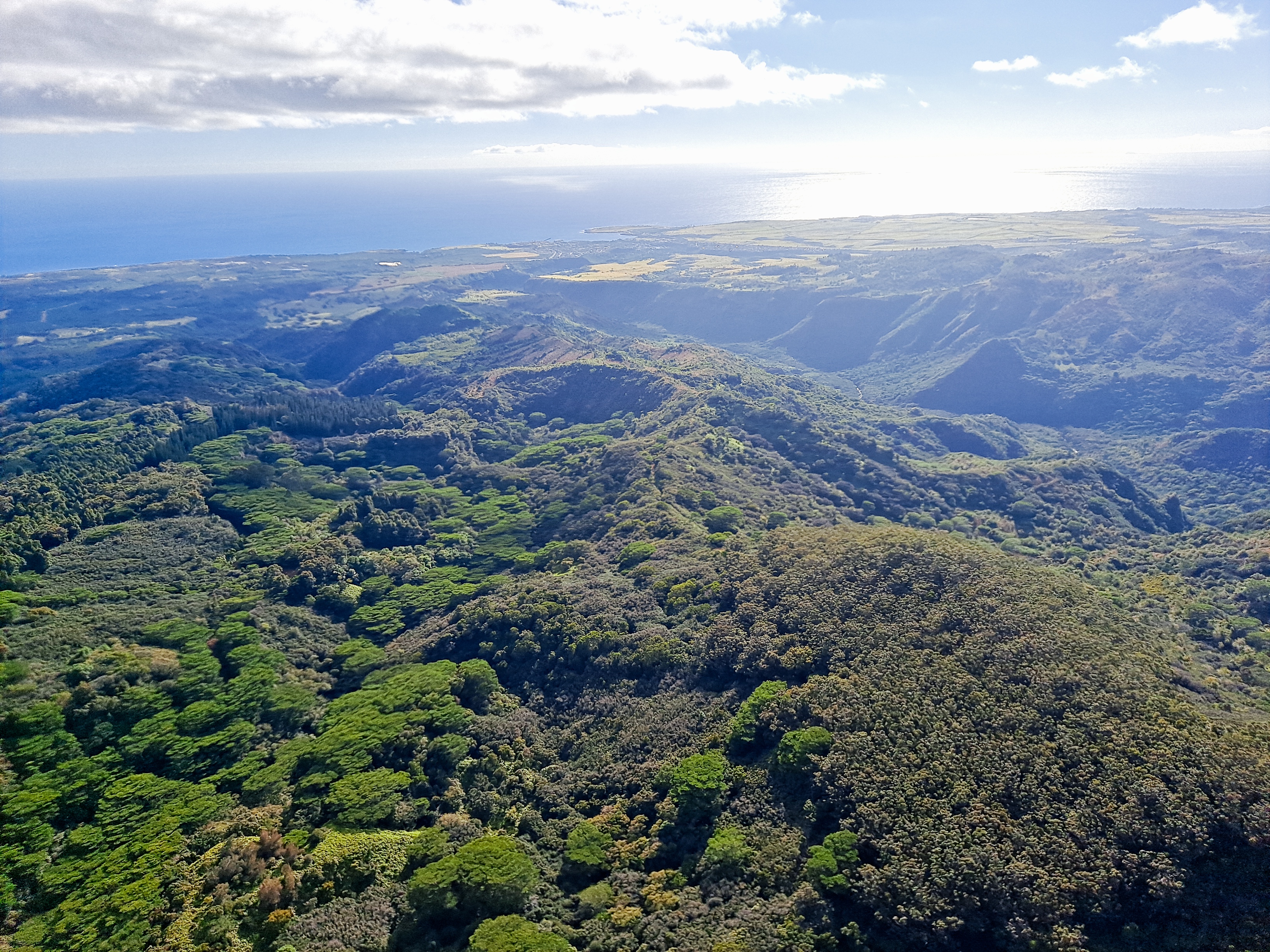 Image of Private Helicopter Tour Kauai - 60 Minutes (Doors Off Optional!)  review